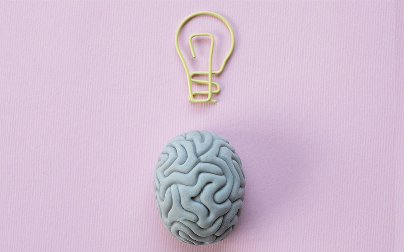 Brain
