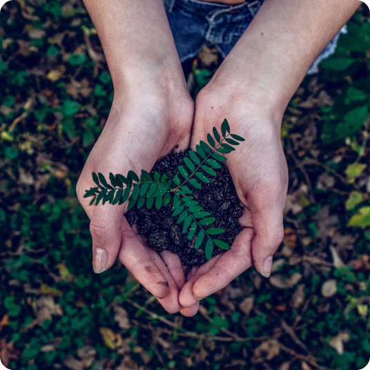 noah-buscher-x8ZStukS2PM-unsplash-web